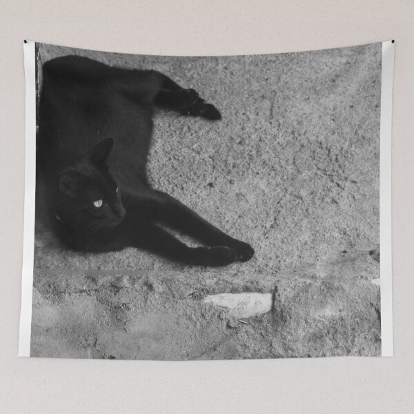 Item preview, the black cat sleeping designed and sold by felipequeiroz.