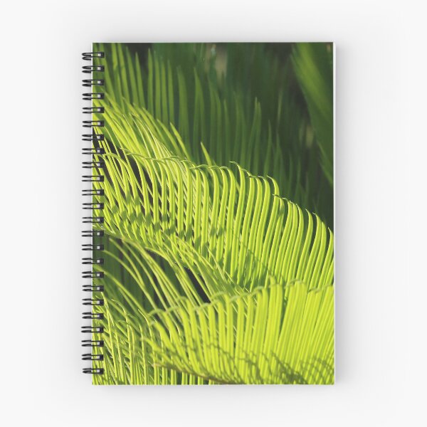 Item preview, Green fern designed and sold by thupho.