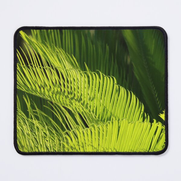 Item preview, Green fern designed and sold by thupho.