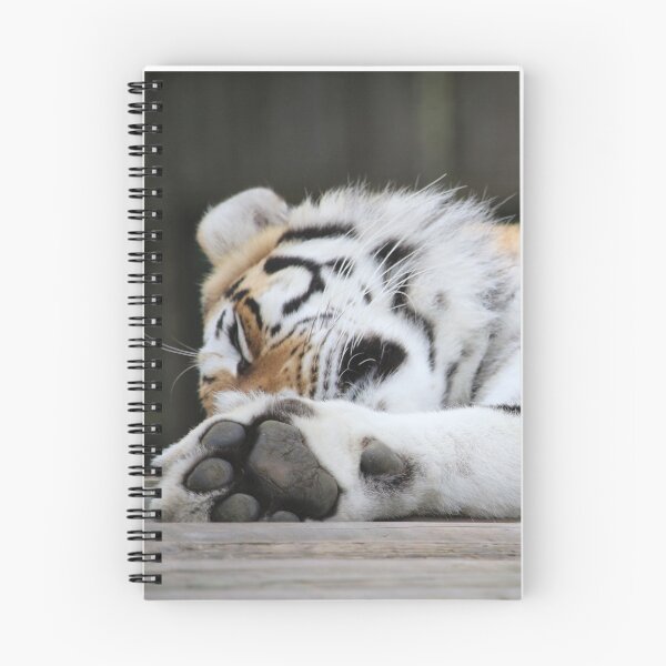 Item preview, Sleepy tiger designed and sold by whingewine.