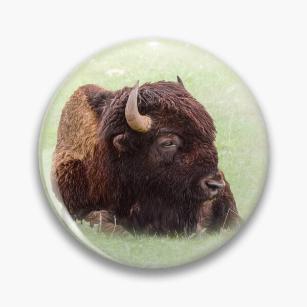 Item preview, American bison designed and sold by Guardi71.