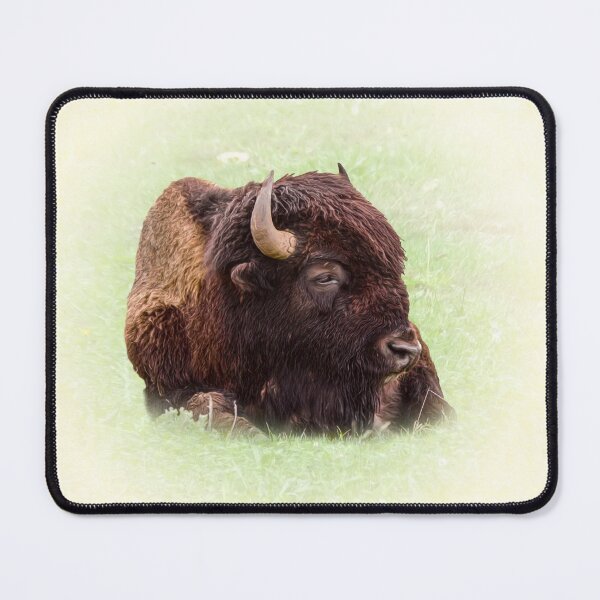 Item preview, American bison designed and sold by Guardi71.