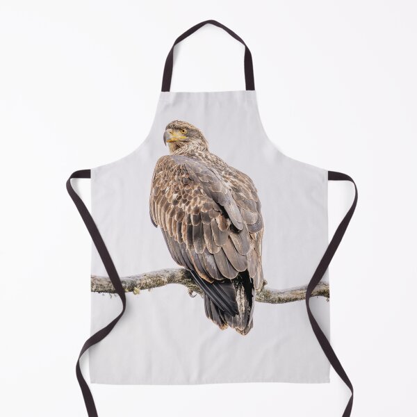 Item preview, Juvenile Bald Eagle Alaska designed and sold by PhotoArt by Joan Carroll.