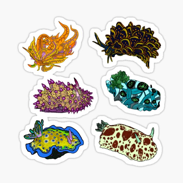Item preview, Nudi Assortment designed and sold by ArtbyDLP.
