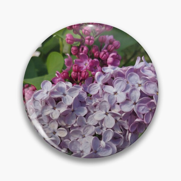Item preview, Lilac blossom designed and sold by dk--design.