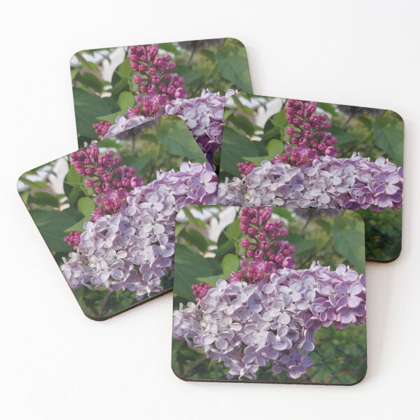 Item preview, Lilac blossom designed and sold by dk--design.