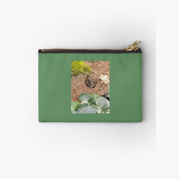 Artikelvorschau, Frosch im Garten entworfen und verkauft von Olivia Wertheimer.