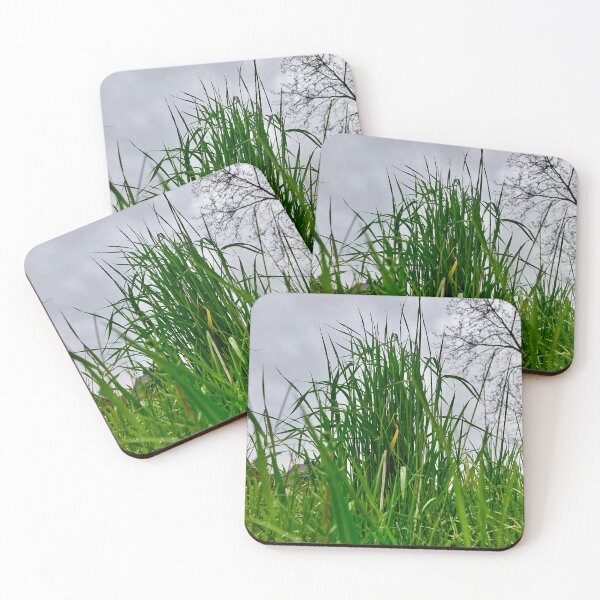 Item preview, Meadow grass from a frog’s perspective designed and sold by dk--design.