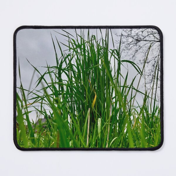 Item preview, Meadow grass from a frog’s perspective designed and sold by dk--design.