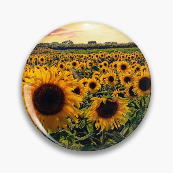 Item preview, Sunflowers in the sunset designed and sold by RosRidleyPhoto.