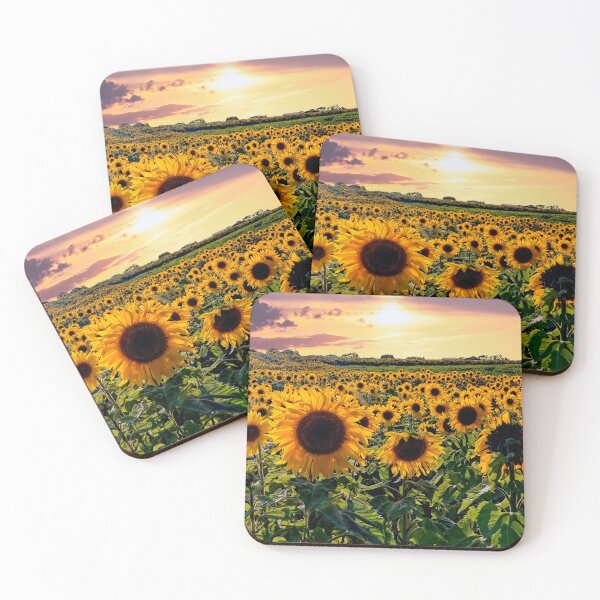 Item preview, Sunflowers in the sunset designed and sold by RosRidleyPhoto.