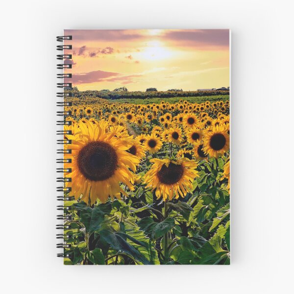 Item preview, Sunflowers in the sunset designed and sold by RosRidleyPhoto.