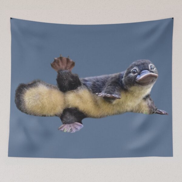 Item preview, Platypus doin a stretch designed and sold by CrushArt1.