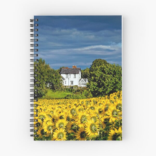 Item preview, A field of Backlit Sunflowers designed and sold by RosRidleyPhoto.