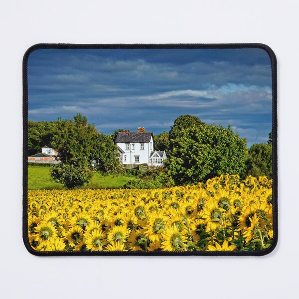 Item preview, A field of Backlit Sunflowers designed and sold by RosRidleyPhoto.