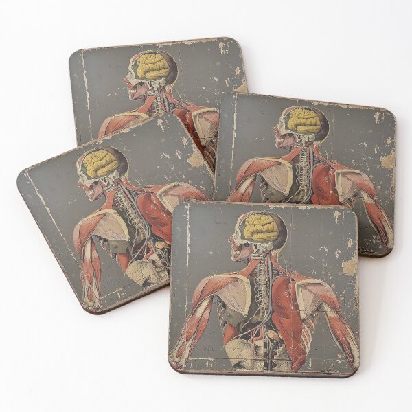 Item preview, Vintage Anatomy Art designed and sold by nomiraclehere.