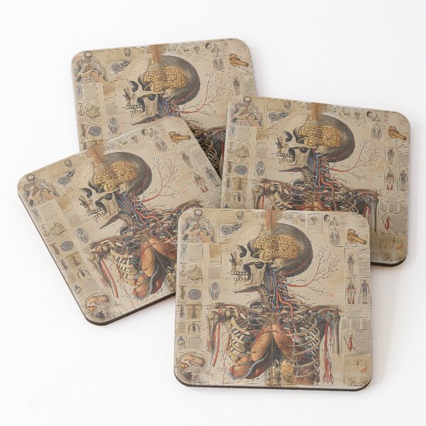 Item preview, Vintage Anatomy Art designed and sold by nomiraclehere.