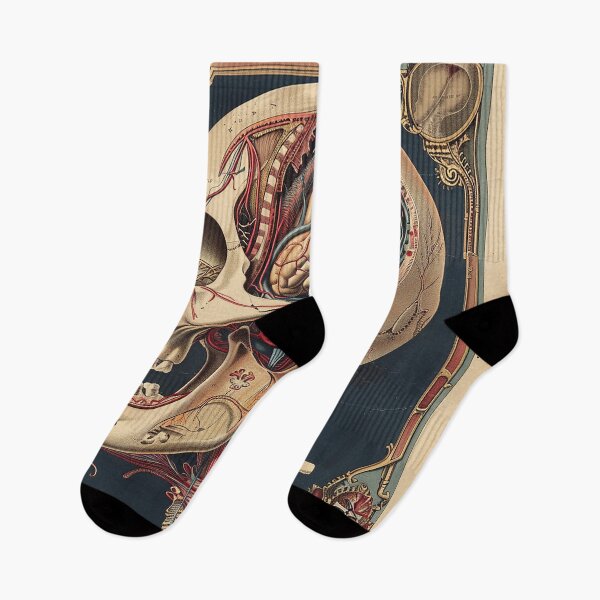 Item preview, Vintage Anatomy Art designed and sold by nomiraclehere.