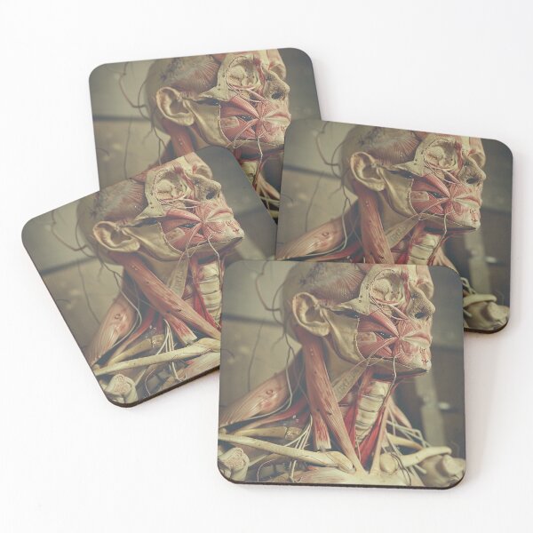 Item preview, Vintage Anatomy Art designed and sold by nomiraclehere.