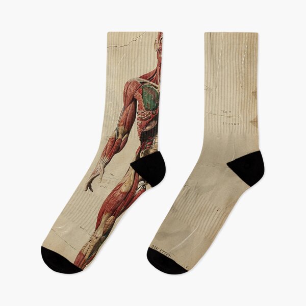 Item preview, Vintage Anatomy Art designed and sold by nomiraclehere.