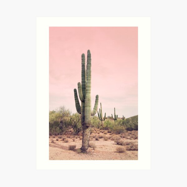 Blush sky Art Print