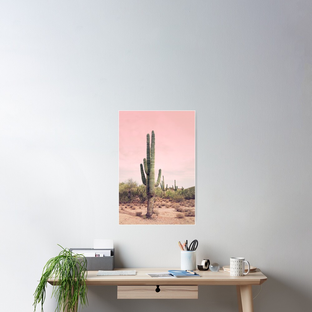 Blush sky Poster