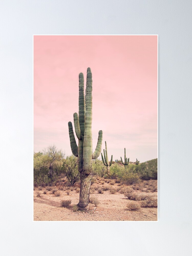 Alternate view of Blush sky Poster