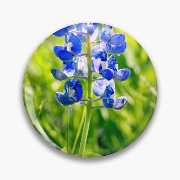 Item preview, Single bluebonnet designed and sold by hariharanvg.