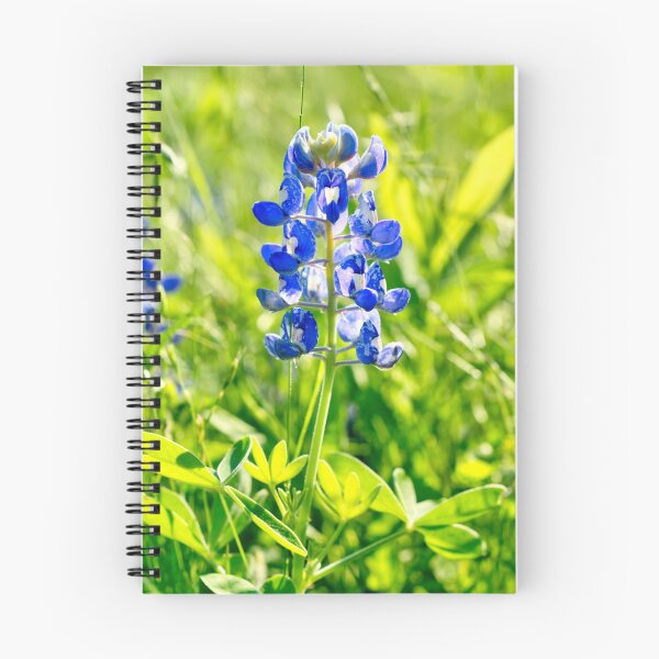 Item preview, Single bluebonnet designed and sold by hariharanvg.