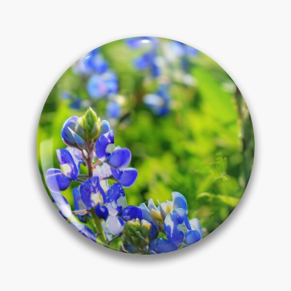 Item preview, Blue Bonnets designed and sold by hariharanvg.