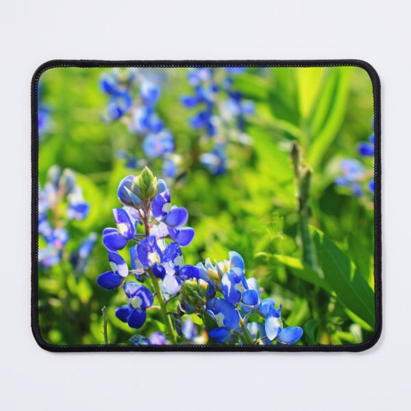 Item preview, Blue Bonnets designed and sold by hariharanvg.