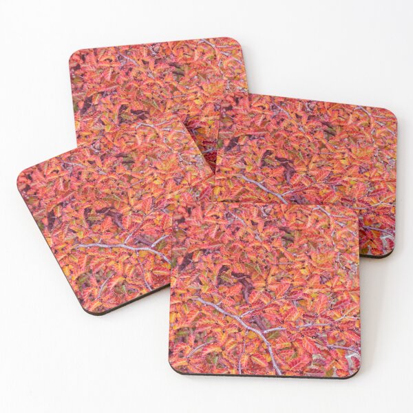 Item preview, Autumn shades of red and gold lenga leaves designed and sold by stevepaint.