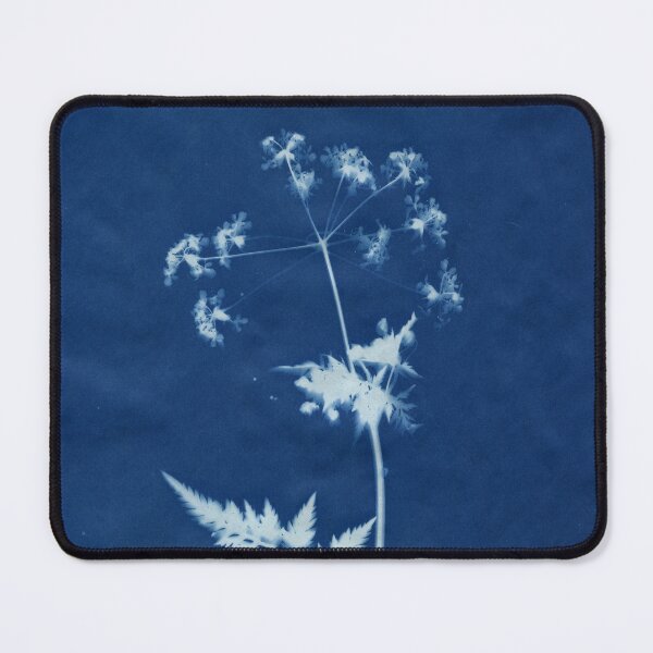 Item preview, Dry Cyanotype Cow Parsley designed and sold by LymphomaLass.