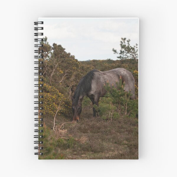 Item preview, New Forest Encounter. designed and sold by GingerMan2550.