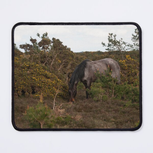 Item preview, New Forest Encounter. designed and sold by GingerMan2550.