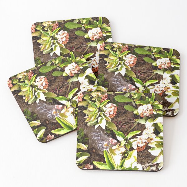 Item preview, flower plant in the garden  designed and sold by sadeek1021953Ss.