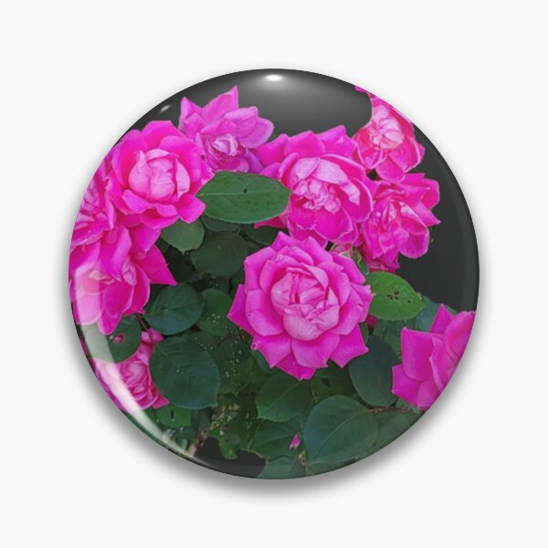 Item preview, Pink Rosebush clipped designed and sold by norascorner.