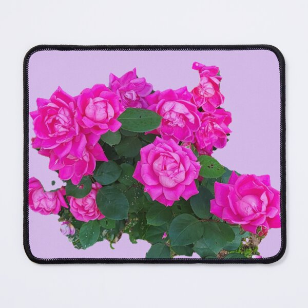 Item preview, Pink Rosebush clipped designed and sold by norascorner.