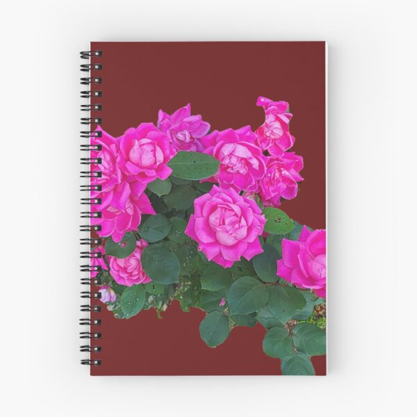 Item preview, Pink Rosebush clipped designed and sold by norascorner.