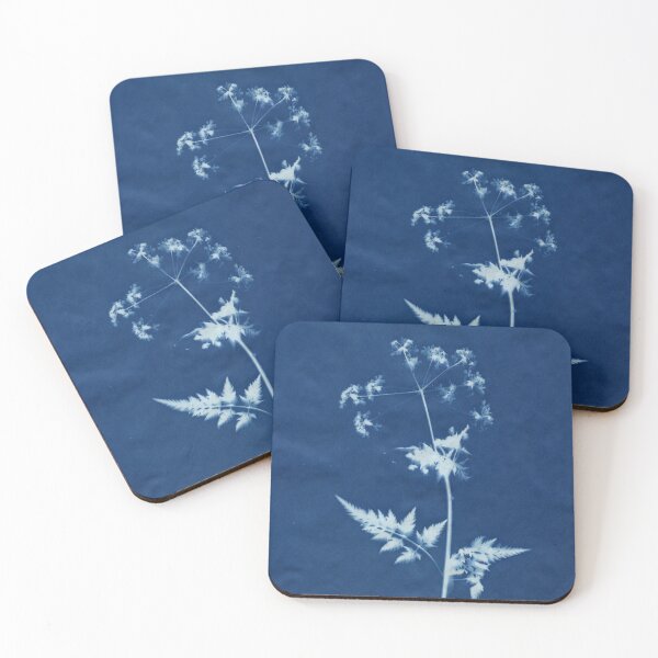 Item preview, Dry Cyanotype Cow Parsley designed and sold by LymphomaLass.
