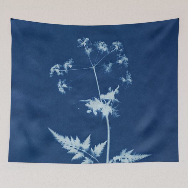 Item preview, Dry Cyanotype Cow Parsley designed and sold by LymphomaLass.
