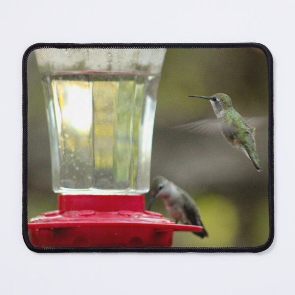 Item preview, Coming in for a landing designed and sold by Stephanie SD3 Creative.