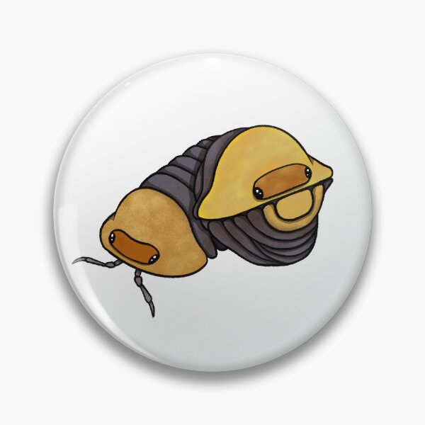Item preview, Cubaris sp. "rubber ducky" Isopod designed and sold by Azure-Exotics.