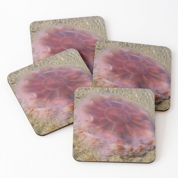 Item preview, Washed Up Lion's Mane Jellyfish Photo designed and sold by SaradaBoru.