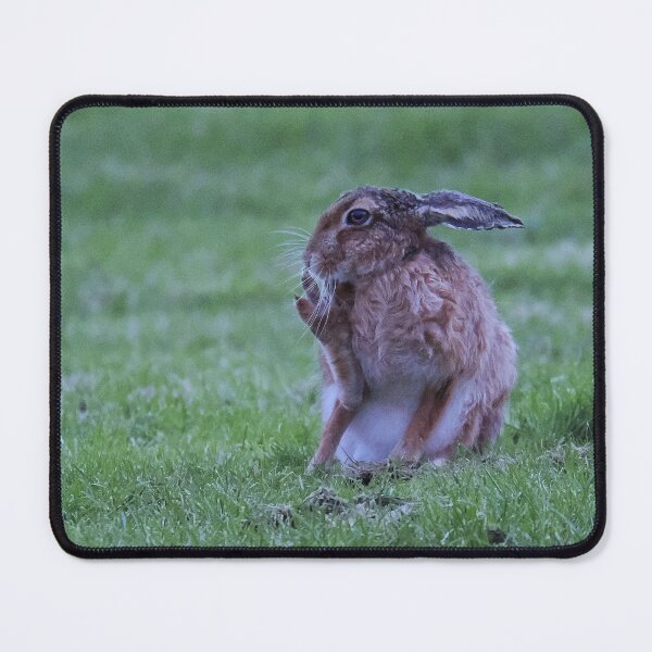 Item preview, Hare designed and sold by Madcreat.