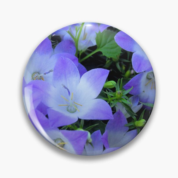 Item preview, Campanula Purple and White Bellflowers Photograph designed and sold by ArtVixen.