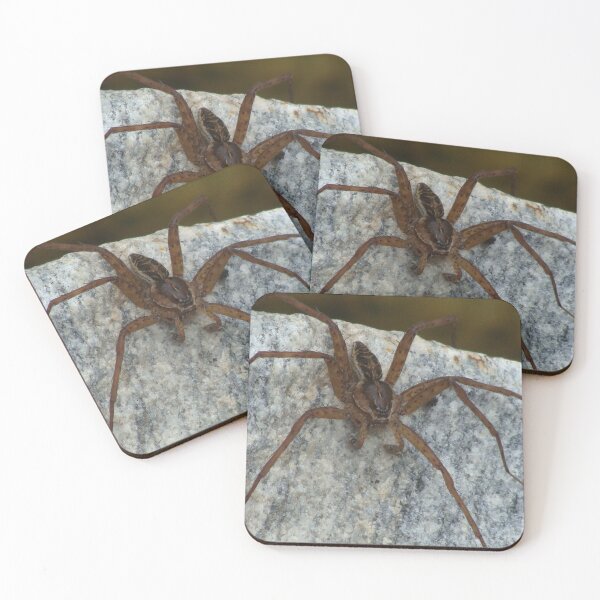 Item preview, Cool Big Spider Photo designed and sold by SaradaBoru.