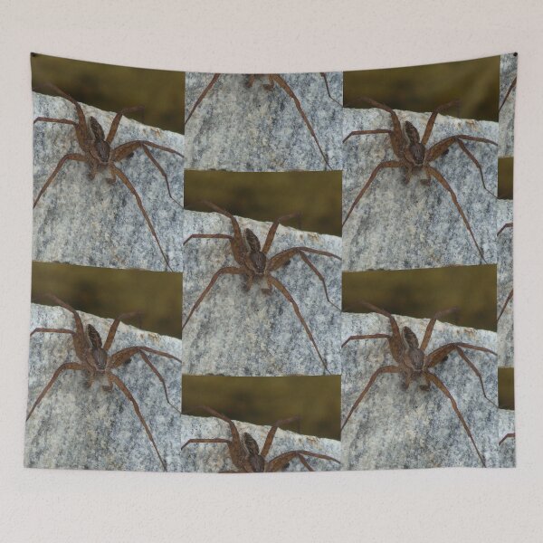 Item preview, Cool Big Spider Photo designed and sold by SaradaBoru.