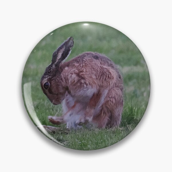 Item preview, Hare designed and sold by Madcreat.