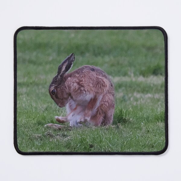 Item preview, Hare designed and sold by Madcreat.